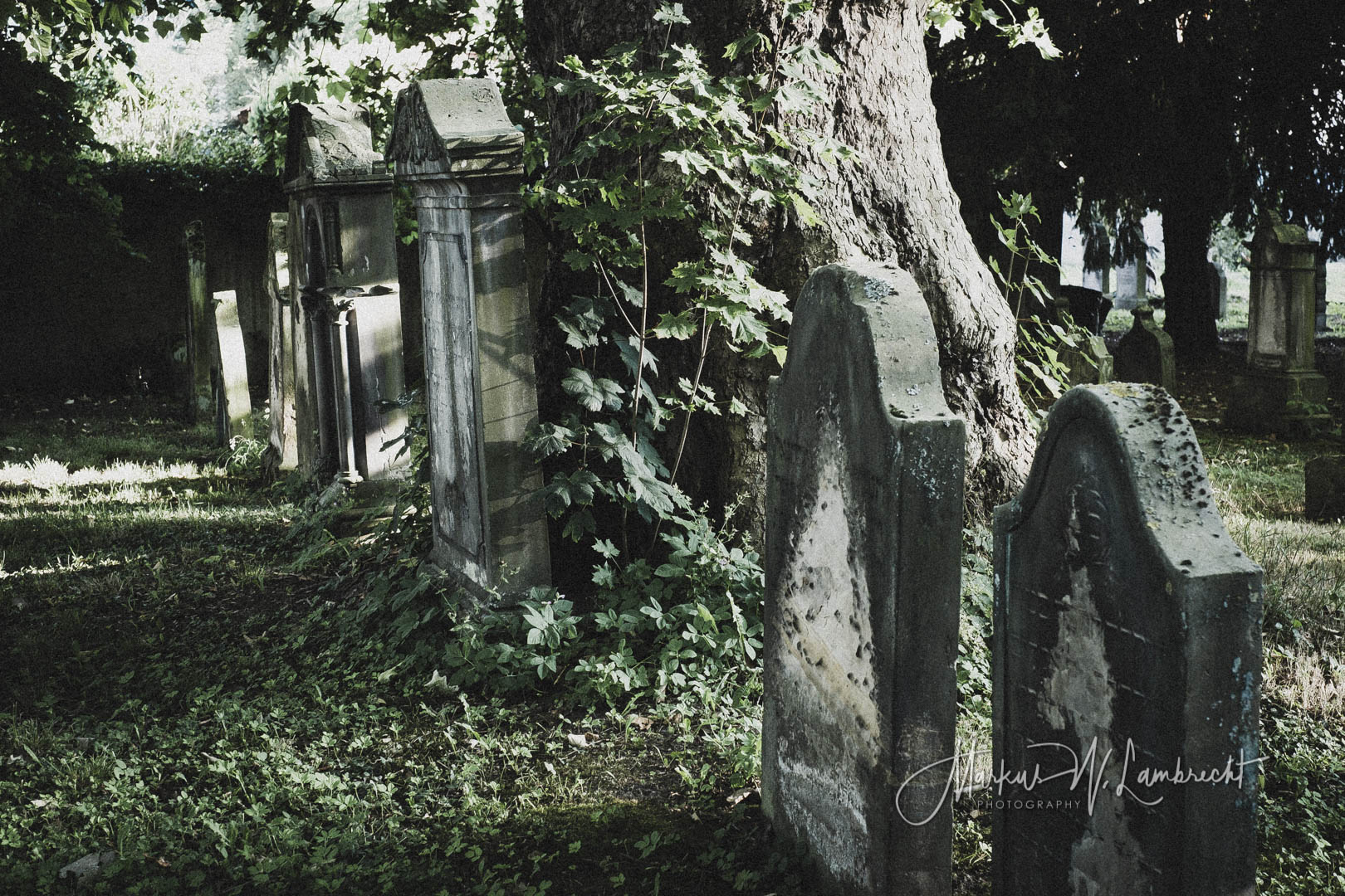 Hameln, Jüdischer Friedhof
